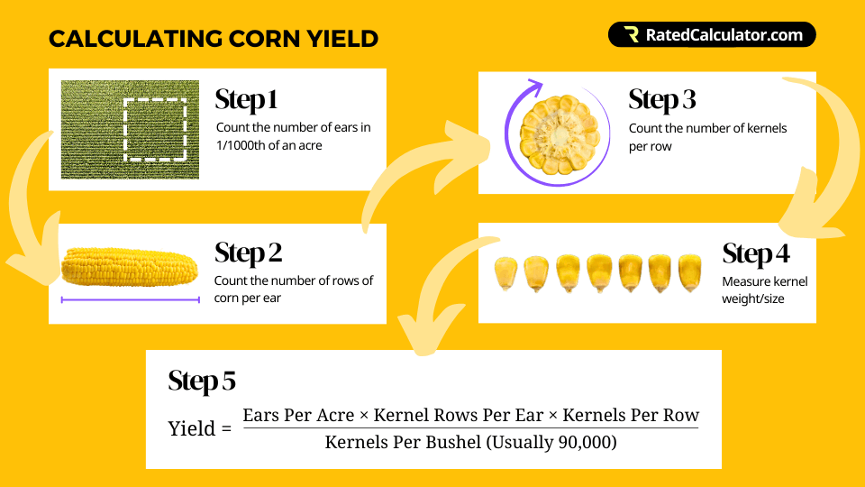 Crop Yield Calculator Estimate Corn Yield Potential