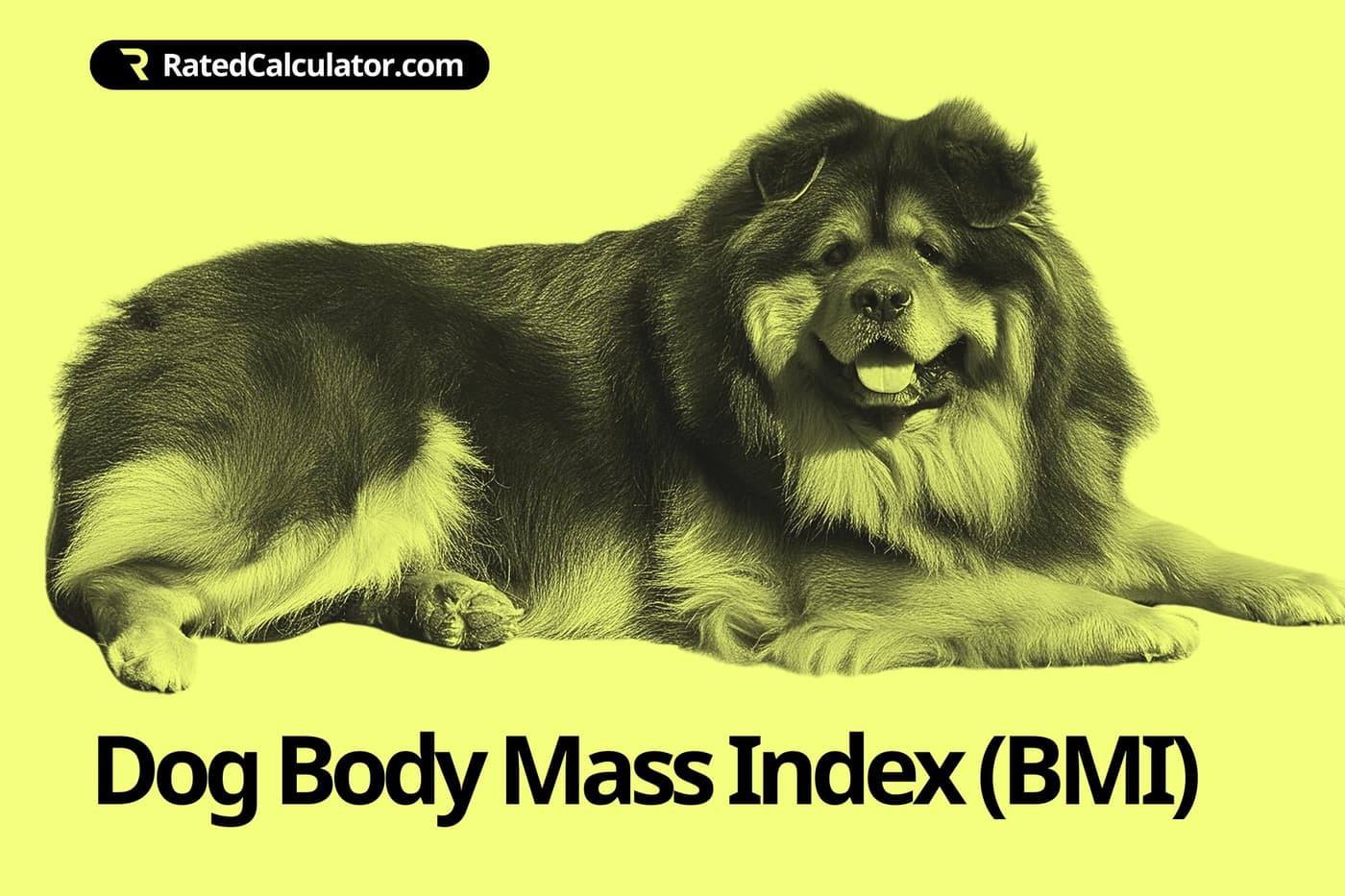 A healthy dog
