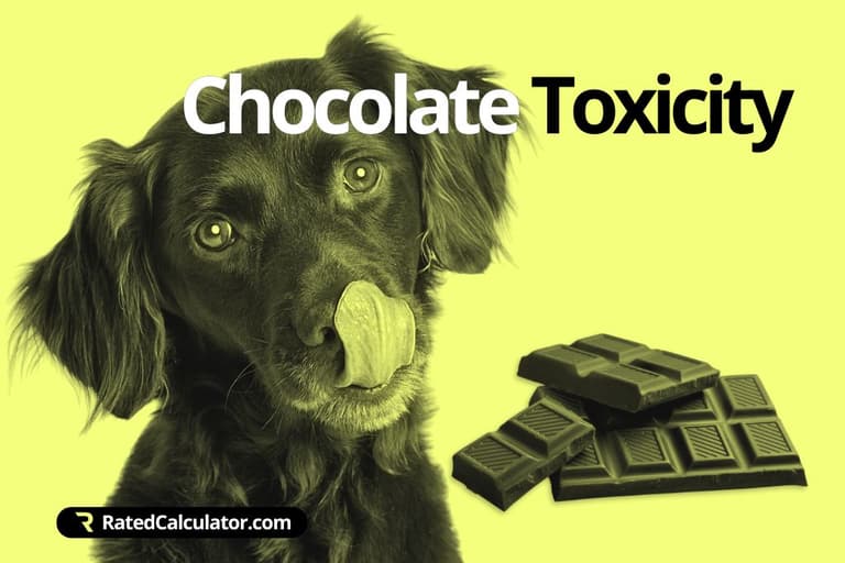 Image showcasing Dog Chocolate Toxicity Calculator | Has your dog eaten a dangerous ...