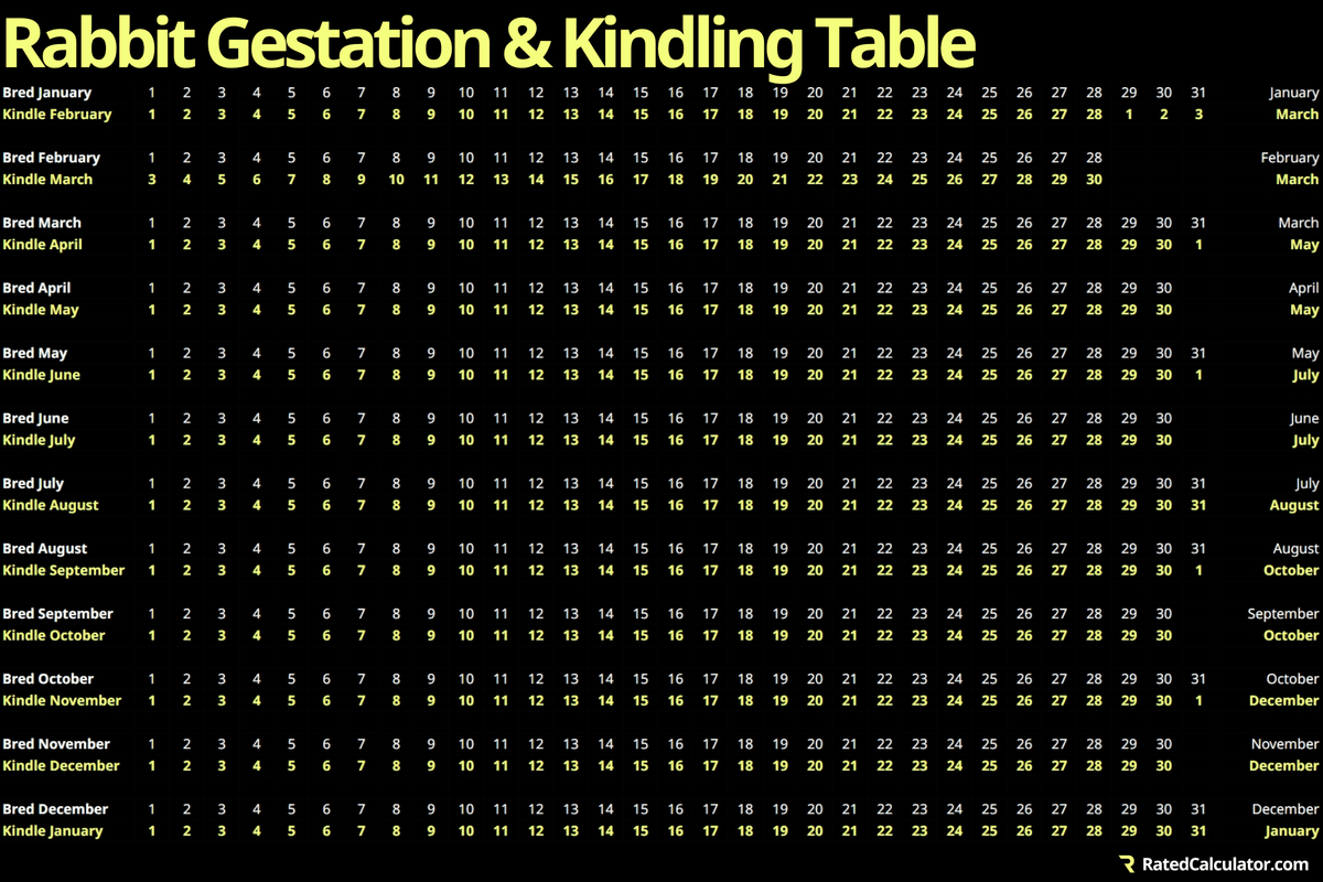 rabbit-gestation-calculator-chart-calculate-rabbit-kindling-dates